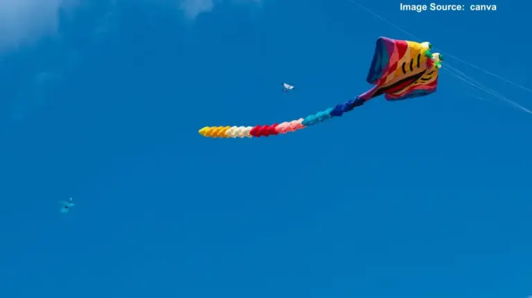 Kite Flying Banned Near INS Shikra  નૌકાદળ એર સ્ટેશન આસપાસ ૬૦ દિવસ પતંગ ઉડાડવા પર પ્રતિબંધ, નિયમભંગ પર કડક કાર્યવાહીની ચેતવણી