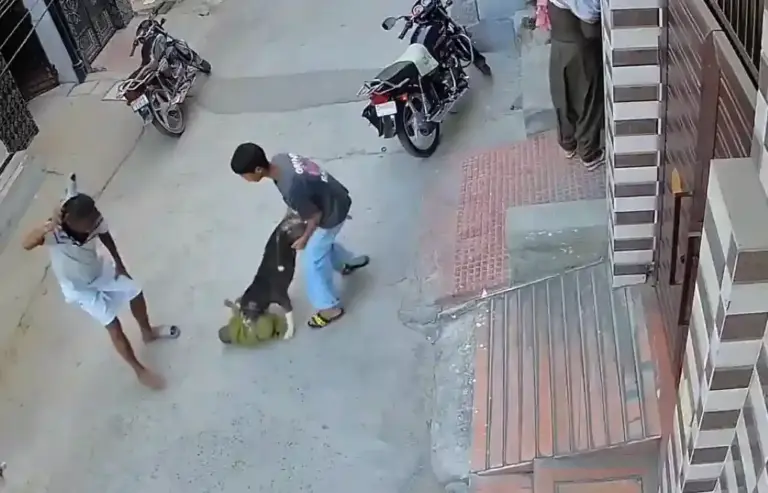 Sonipat Pitbull Attack  પિટબુલ એટેક ૬ મહિનાના બાળકને કરડી ખાધું, લોહીલુહાણ હાલતમાં હોસ્પિટલ ખસેડાયો; માલિક સામે પોલીસ ફરિયાદ!