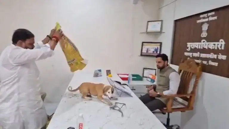 Stray Dogs Dumped On Municipal Chief Desk Protest  રઝળતા કૂતરાઓનો ત્રાસ રોષે ભરાયેલા લોકો કૂતરાઓને કોથળામાં ભરી ચીફ ઓફિસરના ટેબલ પર છોડી ગયા; જુઓ વિરોધનો અનોખો VIDEO