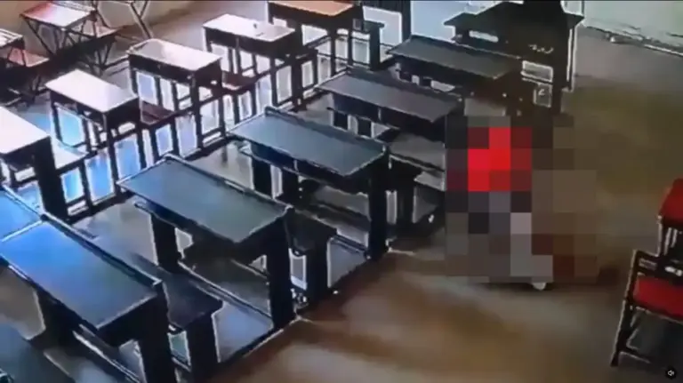 Panchkula School Girl Assault   શાળા પરિસરમાં આટલી હિંસક માનસિકતા ક્યાંથી આવી?  ૮ વર્ષીય બાળકે ૬ વર્ષની વિદ્યાર્થિની પર ઈંટકૂંડાથી હુમલો કર્યો; જુઓ રુવાડા ઉભા કરી દેતો વિડીયો..